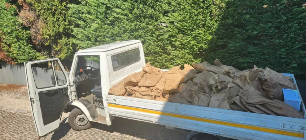 Utvrđuje se način na koji su pripadnici grupe stigli u CG
