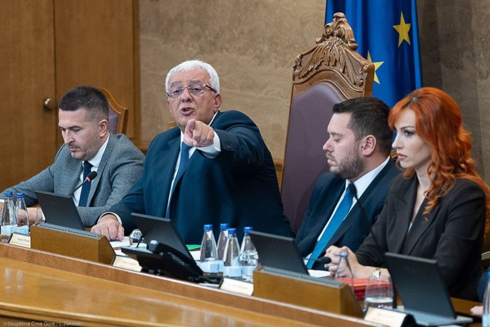 Andrija Mandić