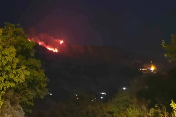 Foto: Društvene mreže