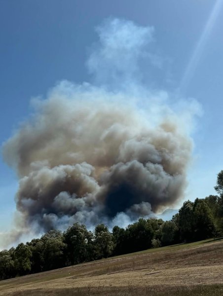 Požar na Skadarskom jezeru
